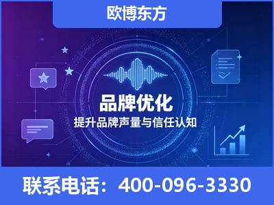 雷州-品牌数字认知资产