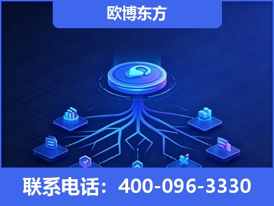 雷州-全链豆包优化